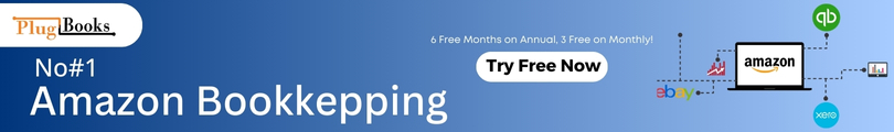 no-1-amazon-bookkeeping-tool-1