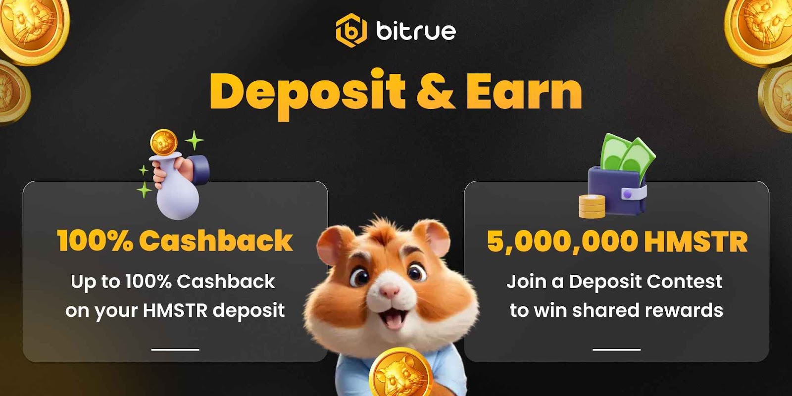 Deposit & Earn HMSTR.jpeg