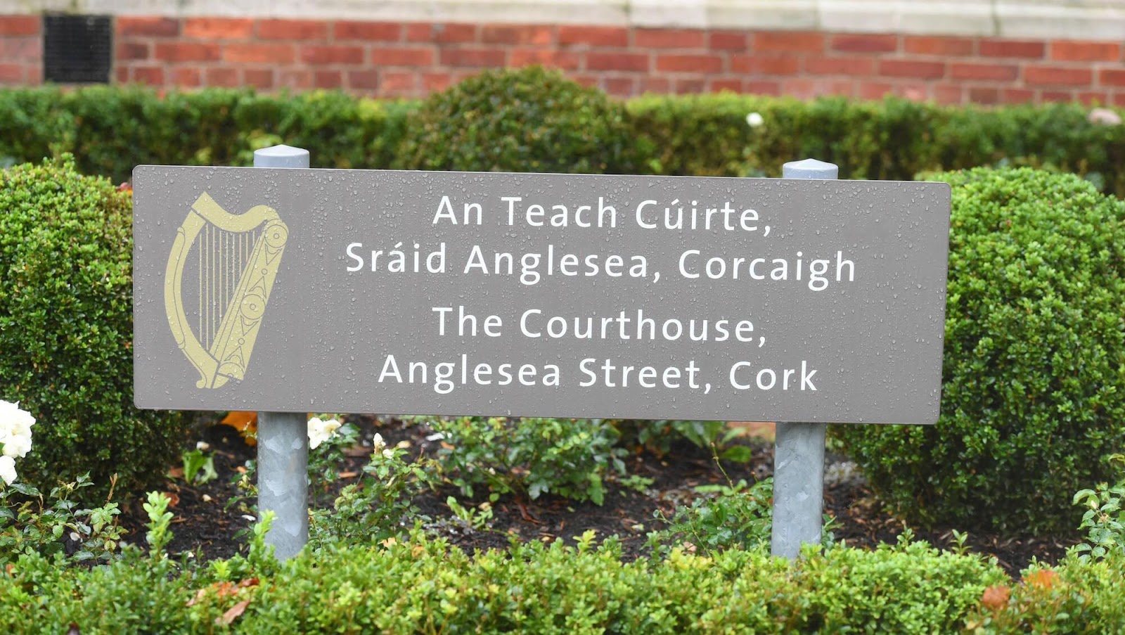 Retired Russian army officer sentenced for assault on Ukrainian friend in West Cork shed
