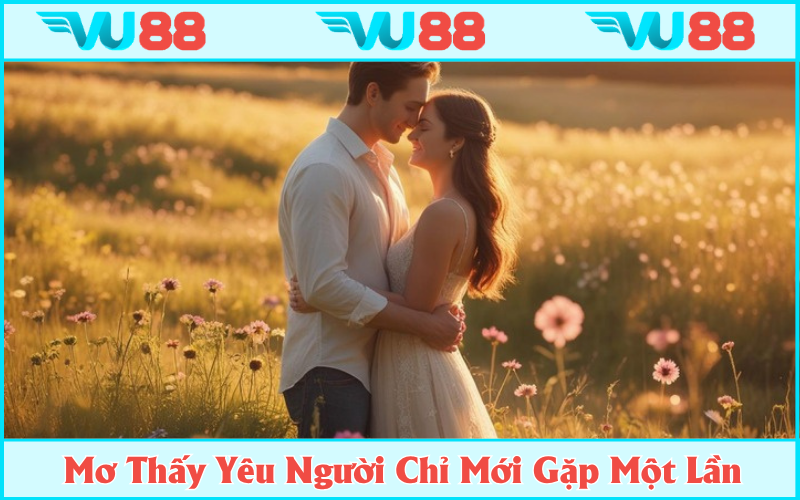 Cảm mến người mới gặp một lần ám chỉ đến sự cảm tính, ngộ nhận
