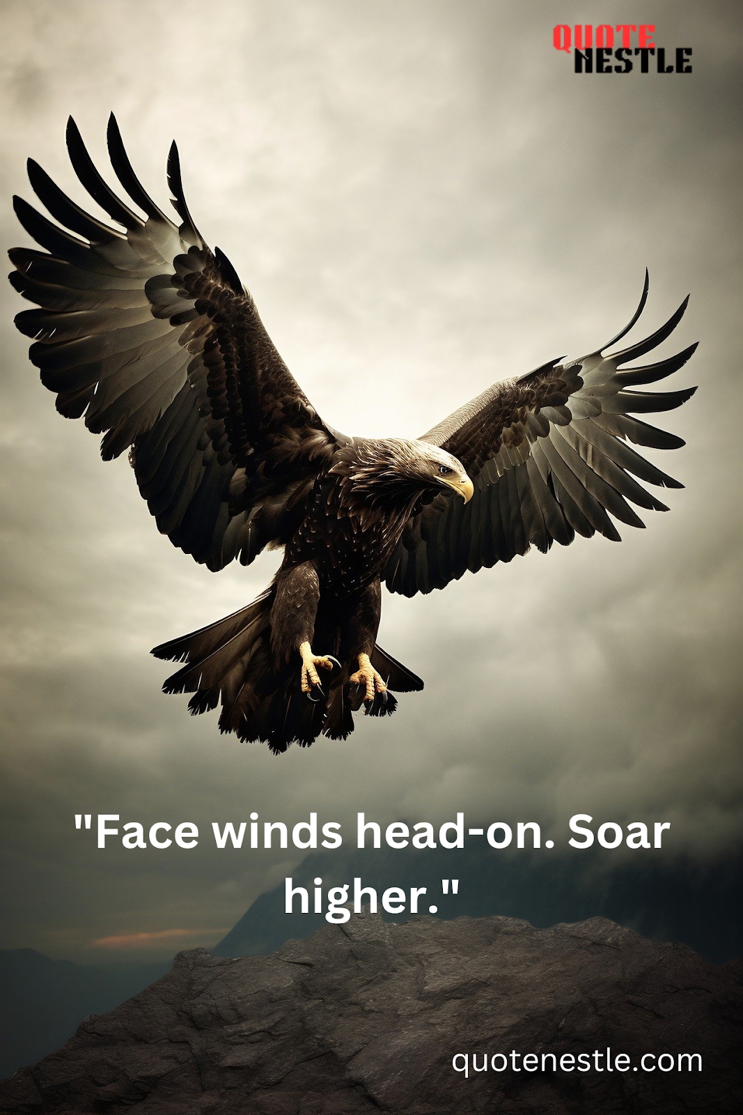 Eagle resilience quotes