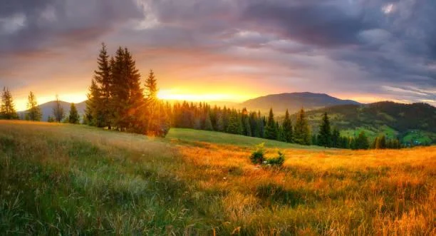 12 Mountain Peaks Framed by Lush Forests, mountain peak, lush forest, nature, forest, landscape, forested slopes, alpine view