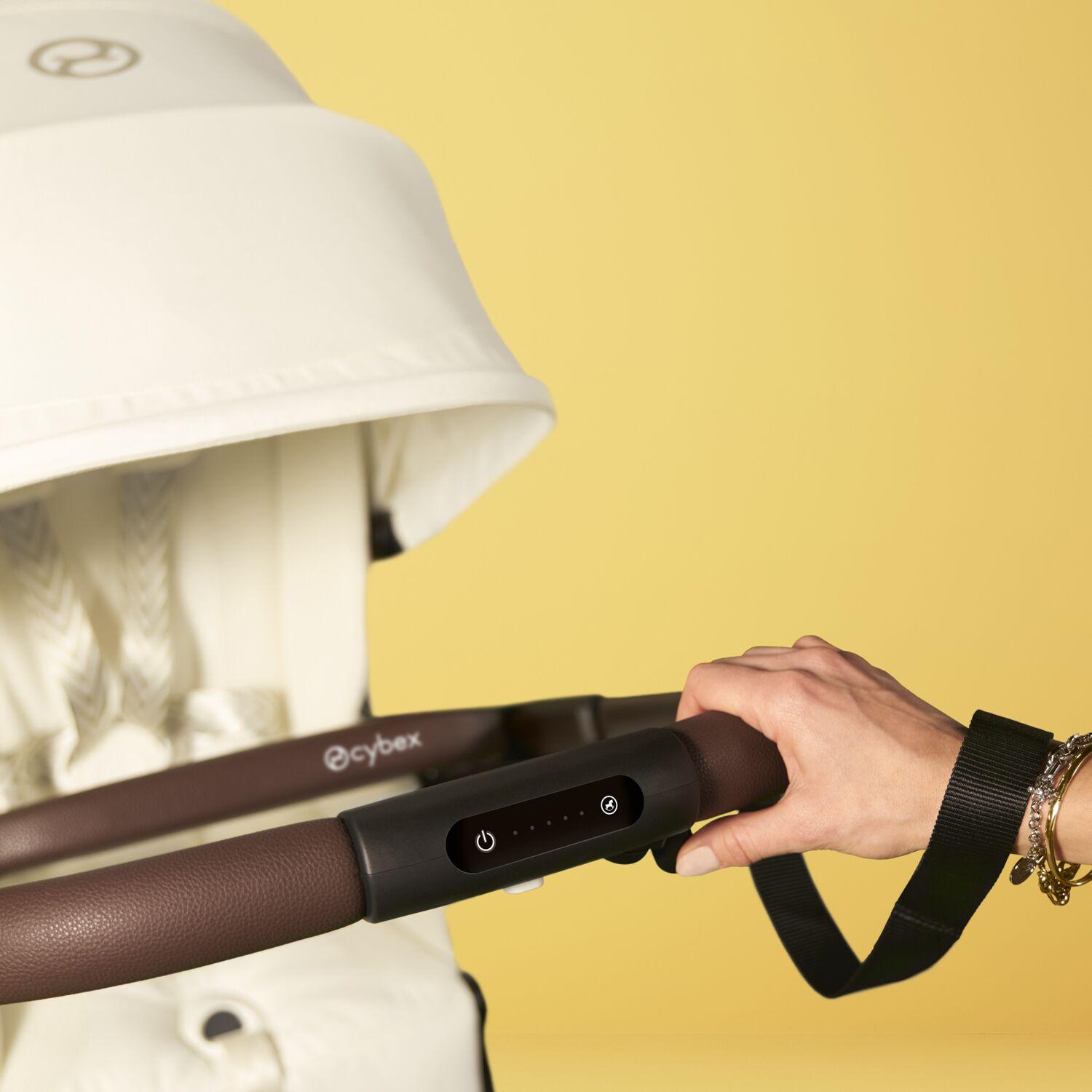 A person holding a baby stroller

AI-generated content may be incorrect.
