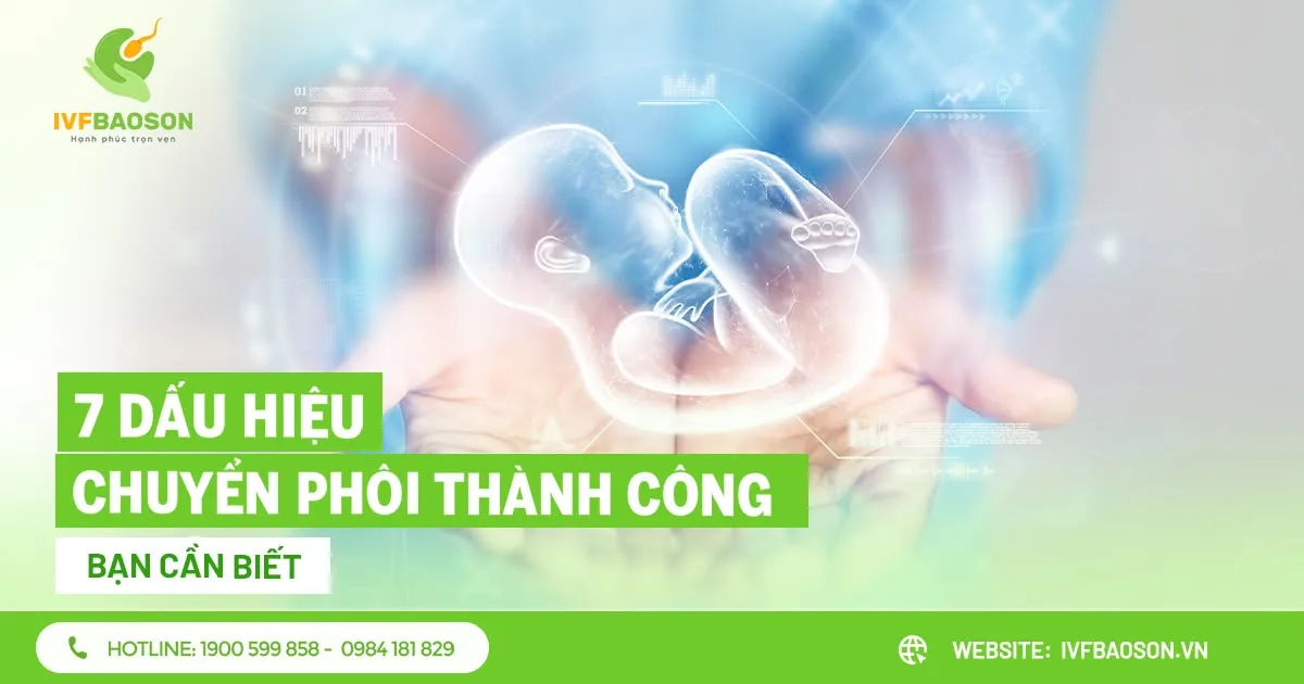 7 dấu hiệu chuyển phôi thành công bạn cần biết