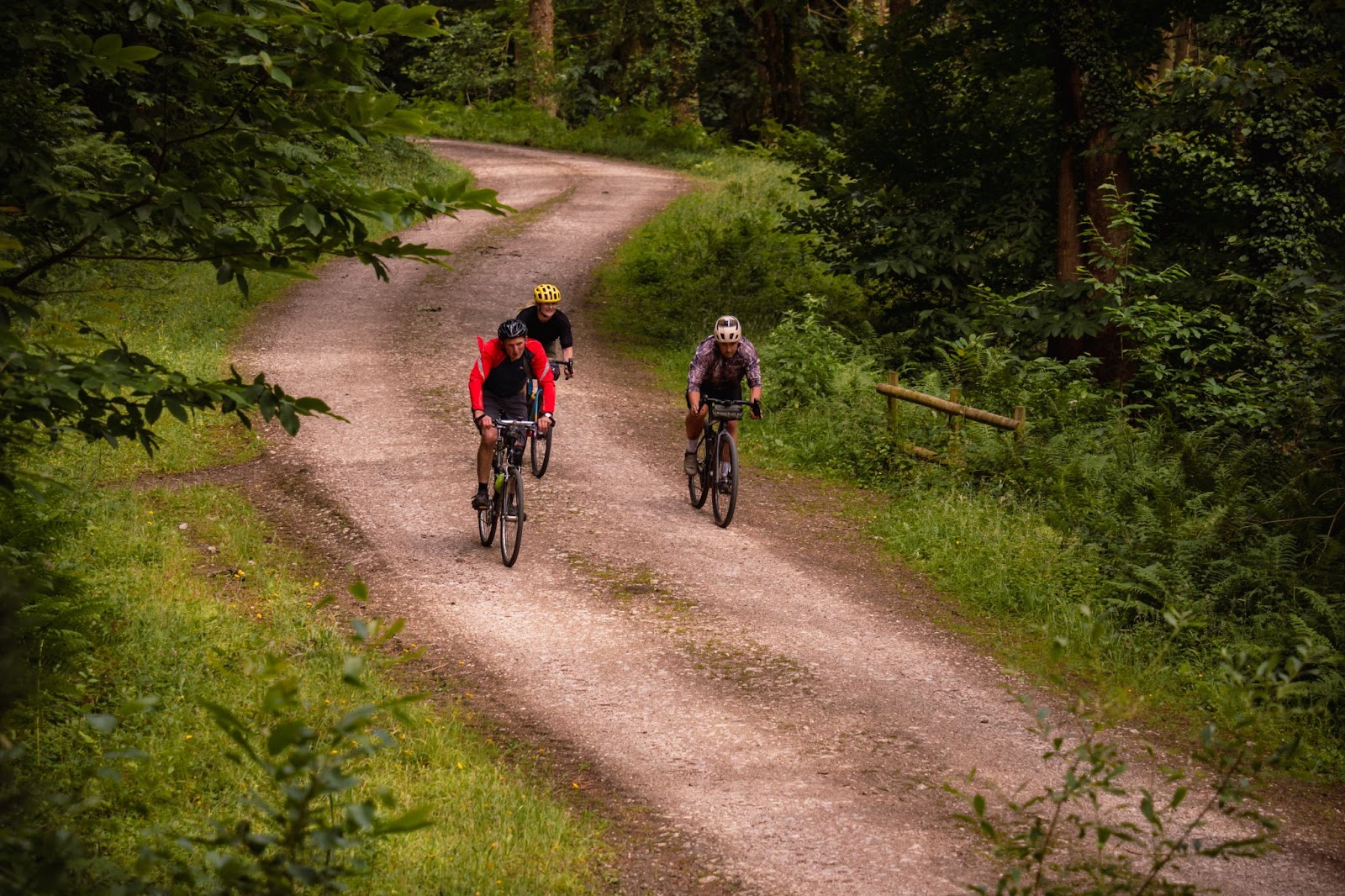 How To Hunt Out The Best Bike Trails Near You