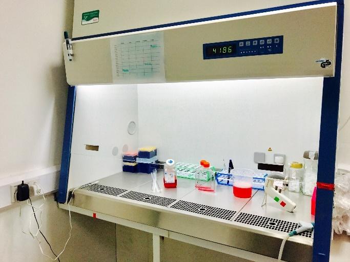 C:\Users\nicolaou.s\Dropbox\1. RESEARCH PROJECTS\EDUCATION\1. Strategic partnership\0. March 2023\WPs\WP3\Case studies\Case Study (CS14) - Cell culture\CS14-0 Cellculture hood.jpg