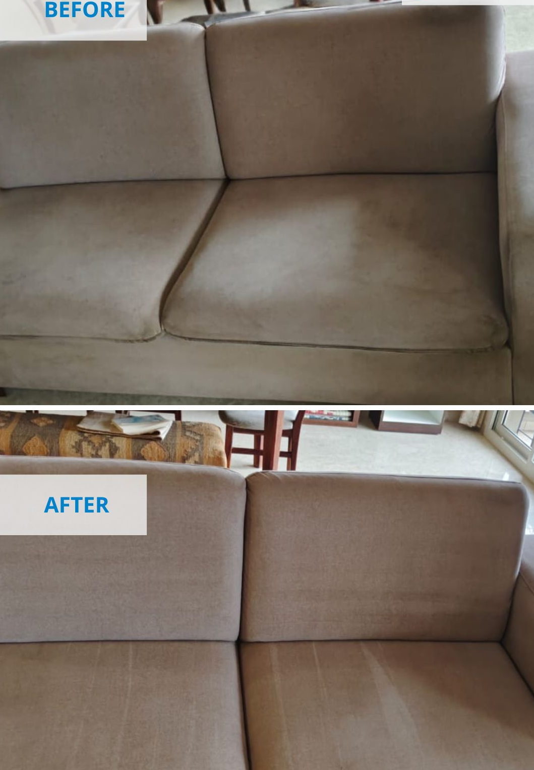 A Complete Guide to Professional Sofa Cleaning Services: What to Expect