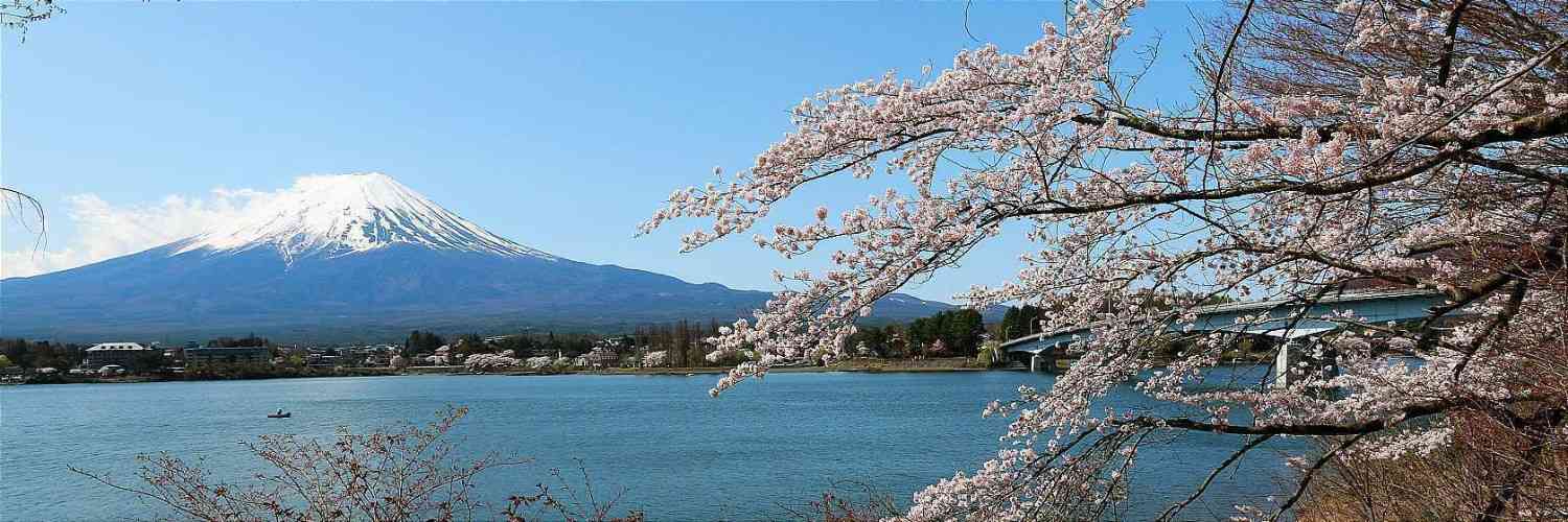 Mount Fuji & Fuji Five Lakes