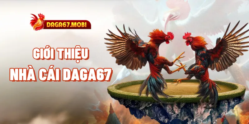Daga67 - Hình 1