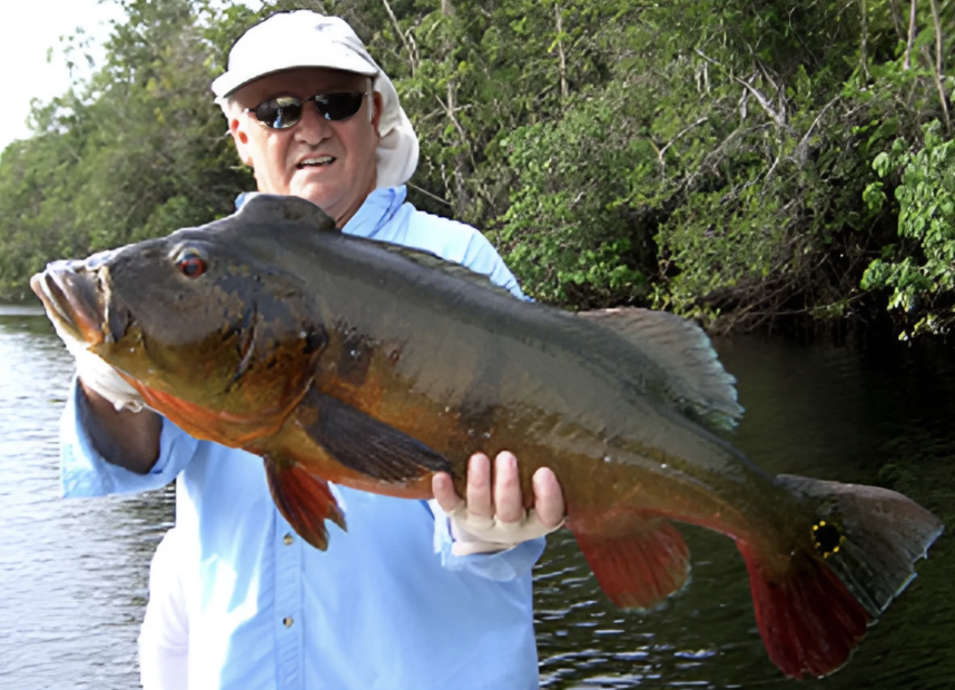 The Peacock Bass Rattle Jig Catches Trophy Peacock Bass