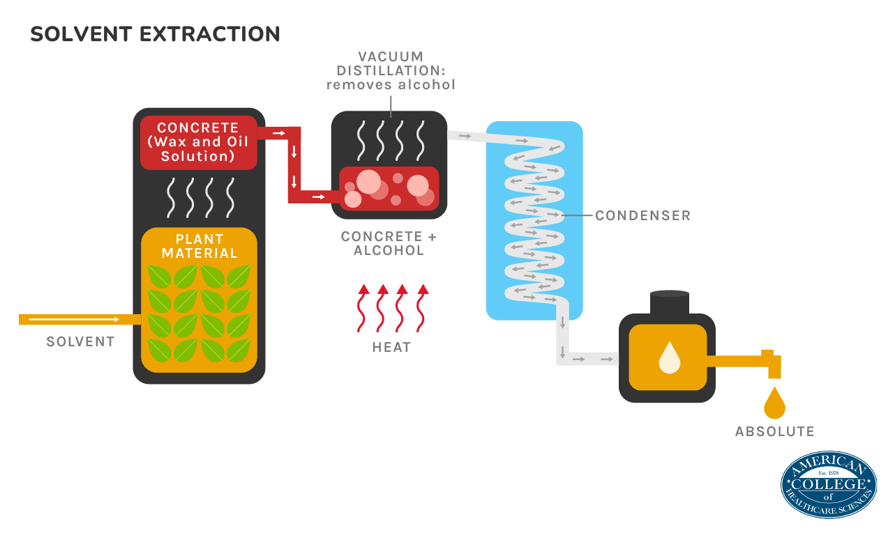 Solvent Extraction Infographic