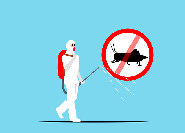 Free Insect Control Extermination vector and picture