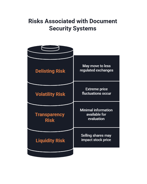 A diagram shows the risks associated with Document Security Systems.