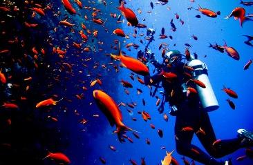 A Traveler's Guide to Exploring Egypt's Red Sea