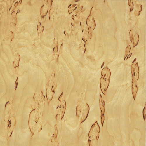 A close-up of a wood grain

Description automatically generated