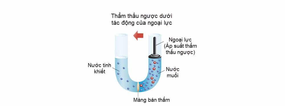 Máy Lọc Nước Thẩm Thấu Ngược 1