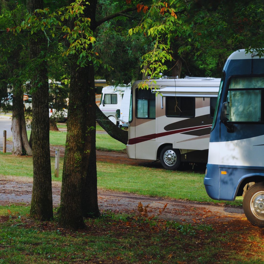 rvs at campground