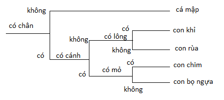 BÀI 26: KHOÁ LƯỠNG PHÂN 