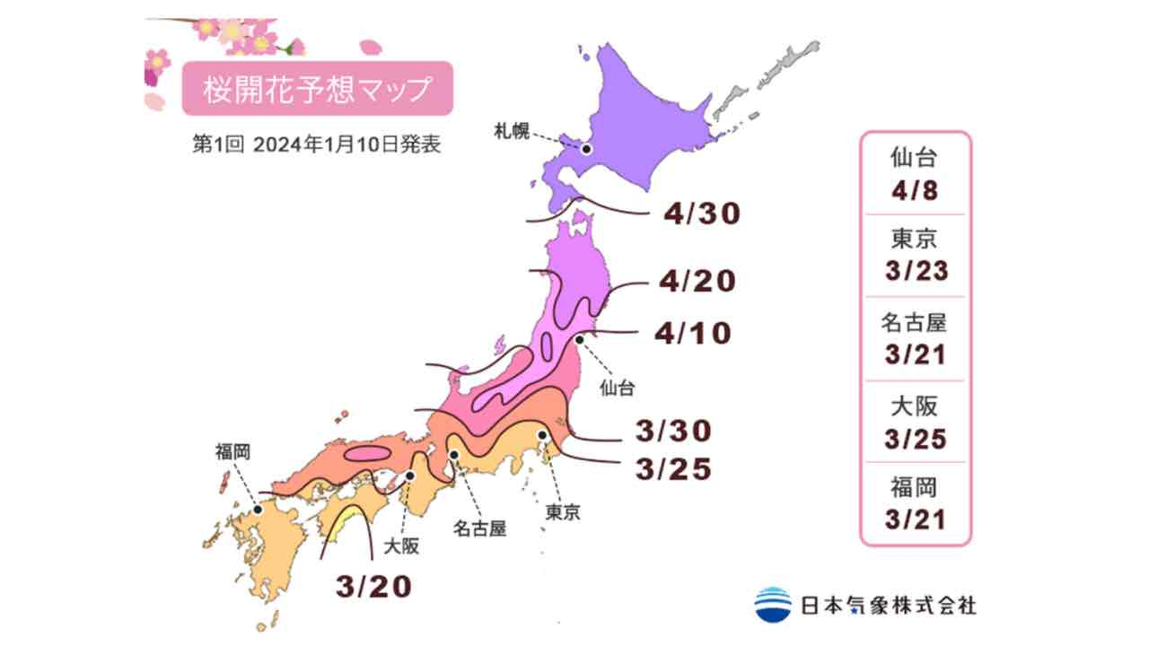 日本 賞櫻