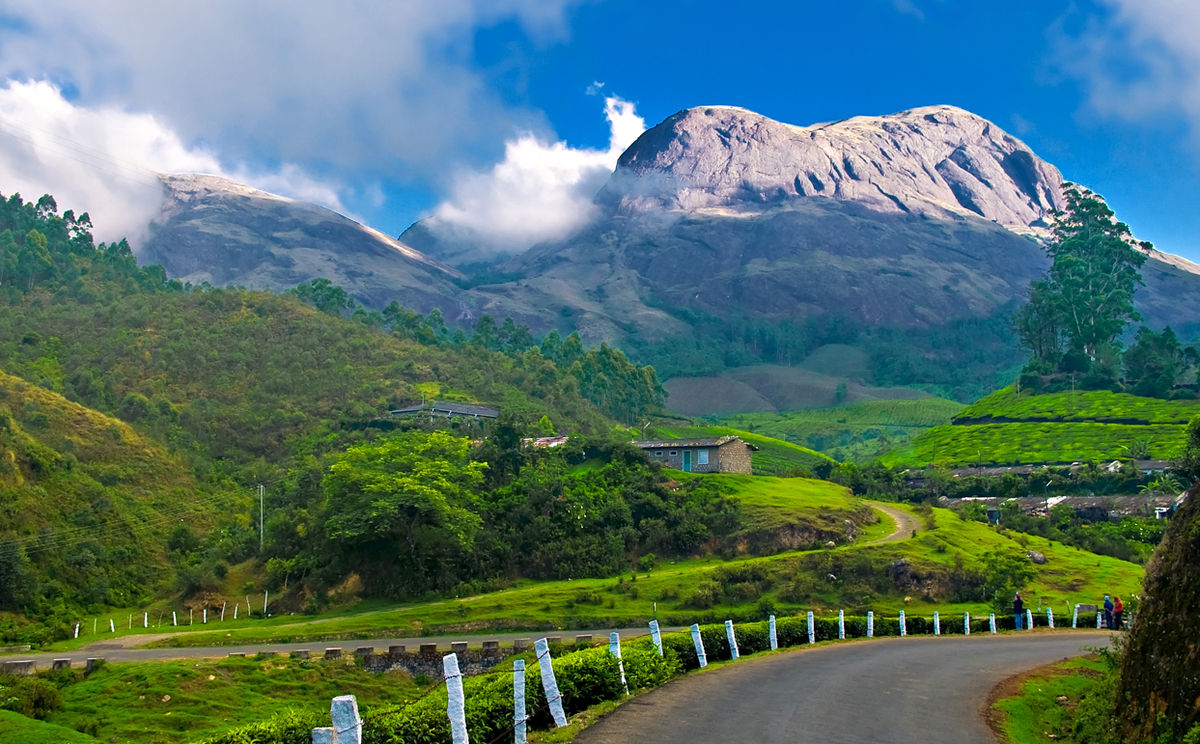 Why Munnar Should Be Your Next Travel Destination