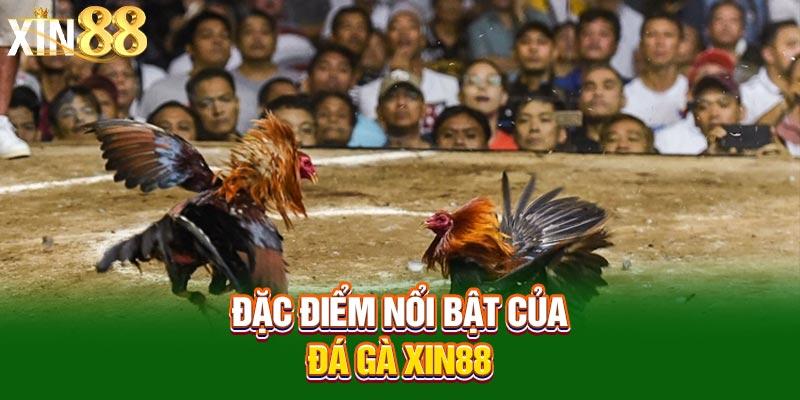 Đá Gà Xin88: Sân Chơi Uy Tín, Minh Bạch, Thắng Lớn Mỗi Ngày - Merakicenter