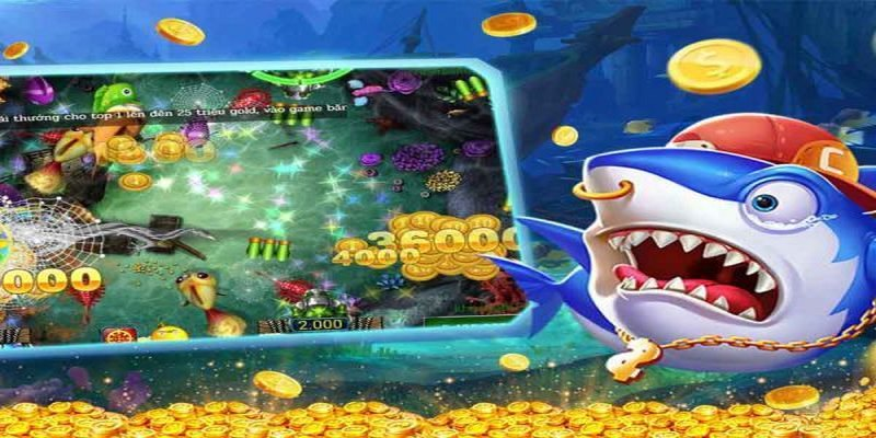 Hướng dẫn cách chơi Bắn cá 3KING chi tiết cho người mới