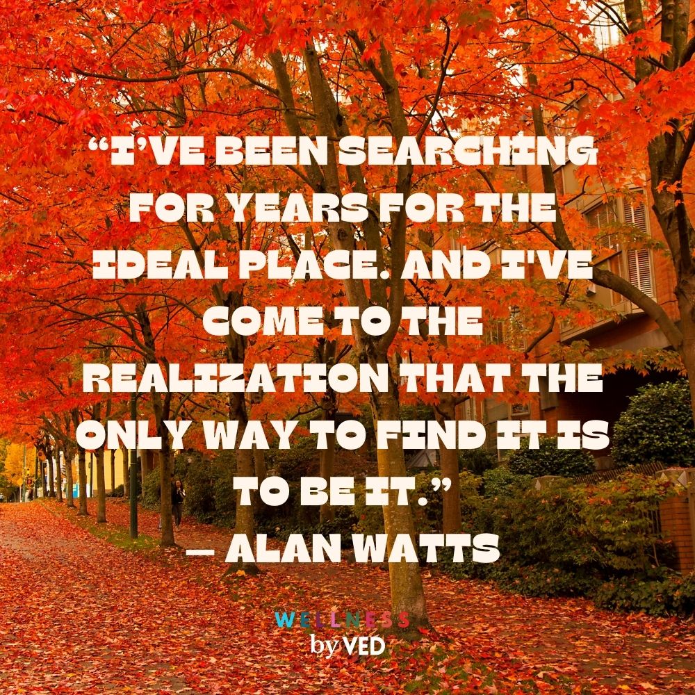 Alan Watts quotes 