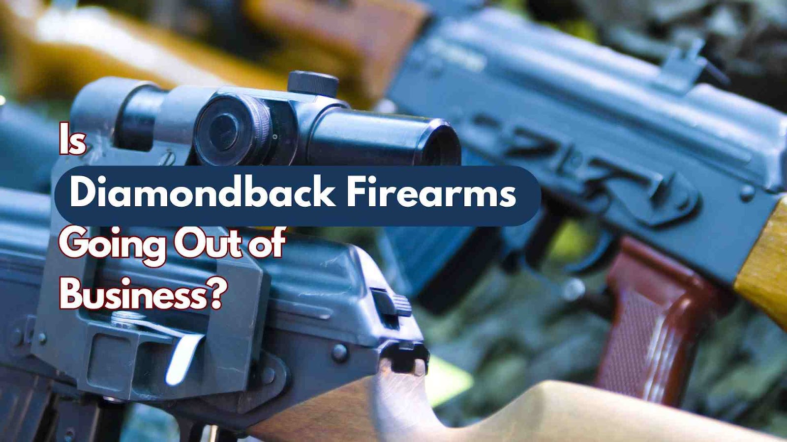 Rumors About Diamondback Firearms Going Out of Business
