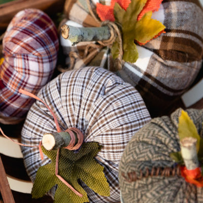 Fabric Pumpkin Craft