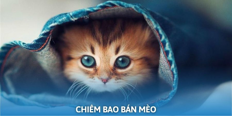 chiêm bao bán mèo