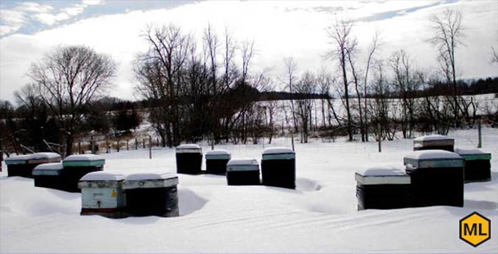 beehives covered in snow