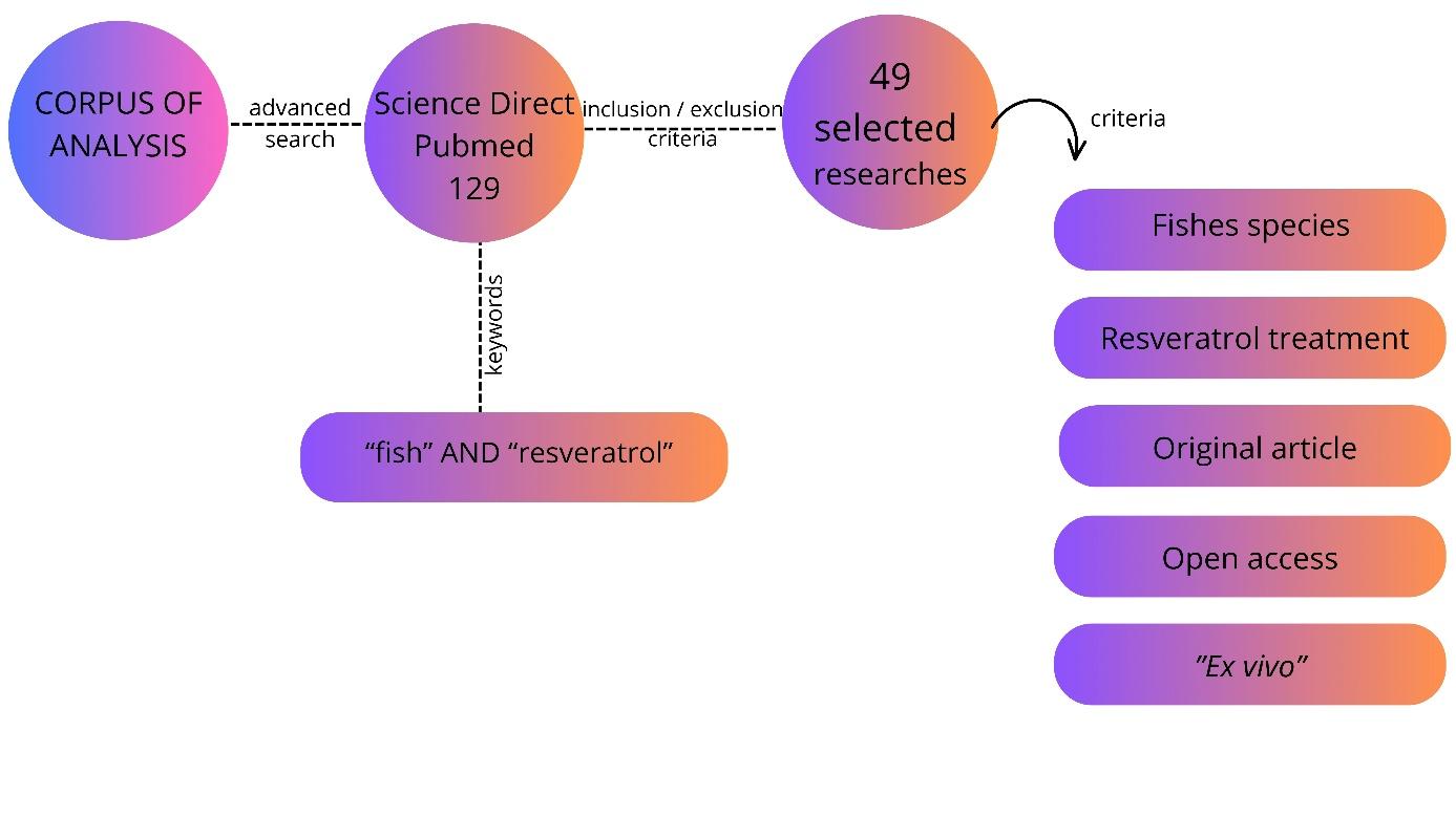 Diagrama

Descrição gerada automaticamente