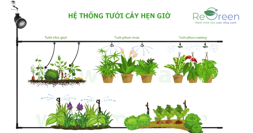 Hệ thống tưới tự động