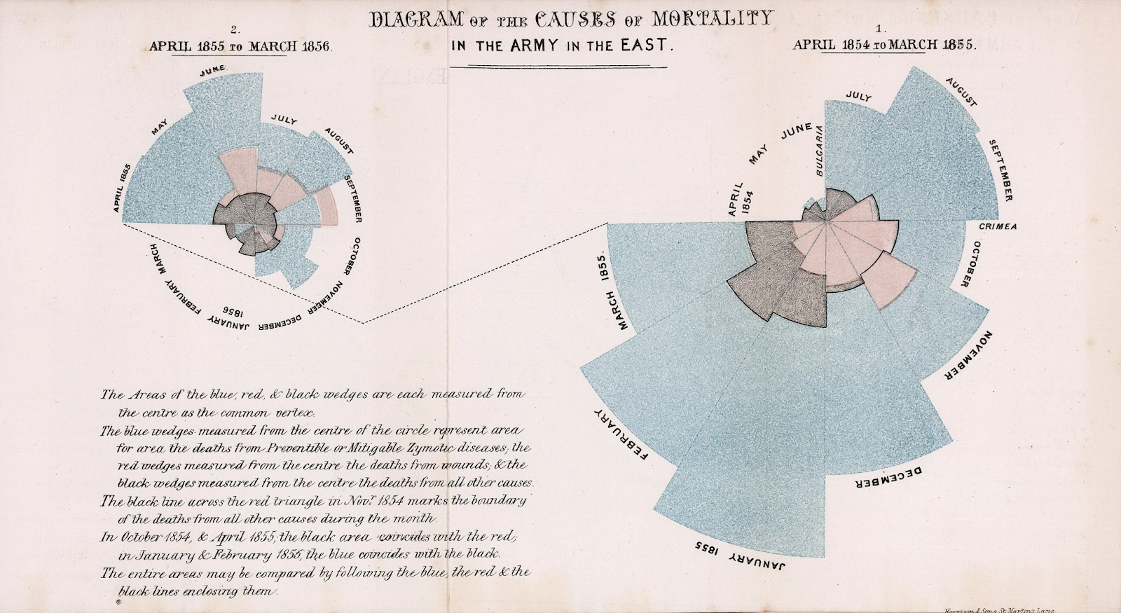 Marie Curie Rose diagram