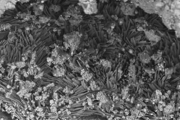 Asteroit Bennu'dan alınan örneklerde bulunan, su içeren bir sodyum karbonat olan tronanın (soda külü olarak da bilinir) taramalı elektron mikroskobu görüntüsü.