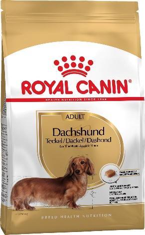 D:\RC\Launches&product info\Dogs\SPT assortment\BHN 2019\BHN_DACHSHUND_ADULT\AD_DACHSHUND_PACKSHOT_BHN18-54pc.jpg