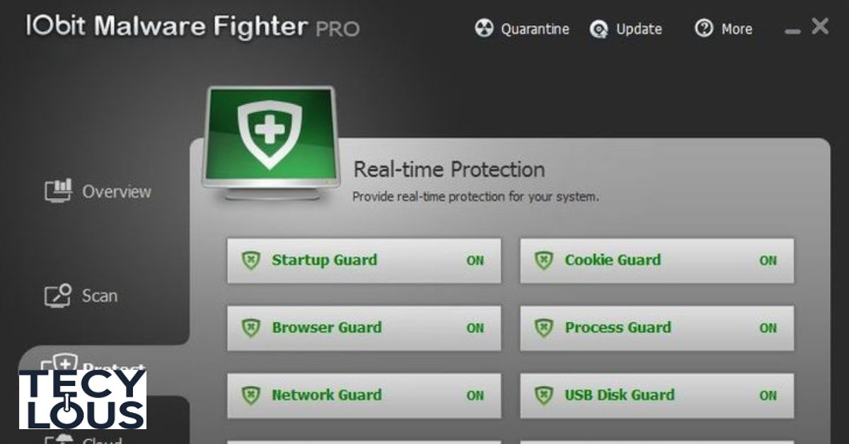 IObit Malware Fighter 11 Pro Working Key