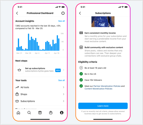 Eligibility Criteria for Instagram Subscriptions