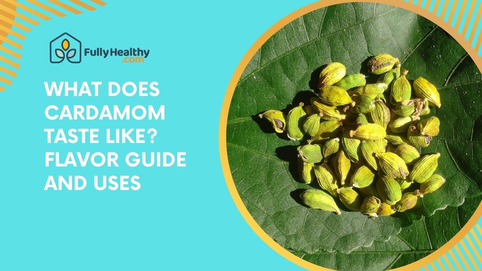 What Does Cardamom Taste Like? Flavor Guide and Uses