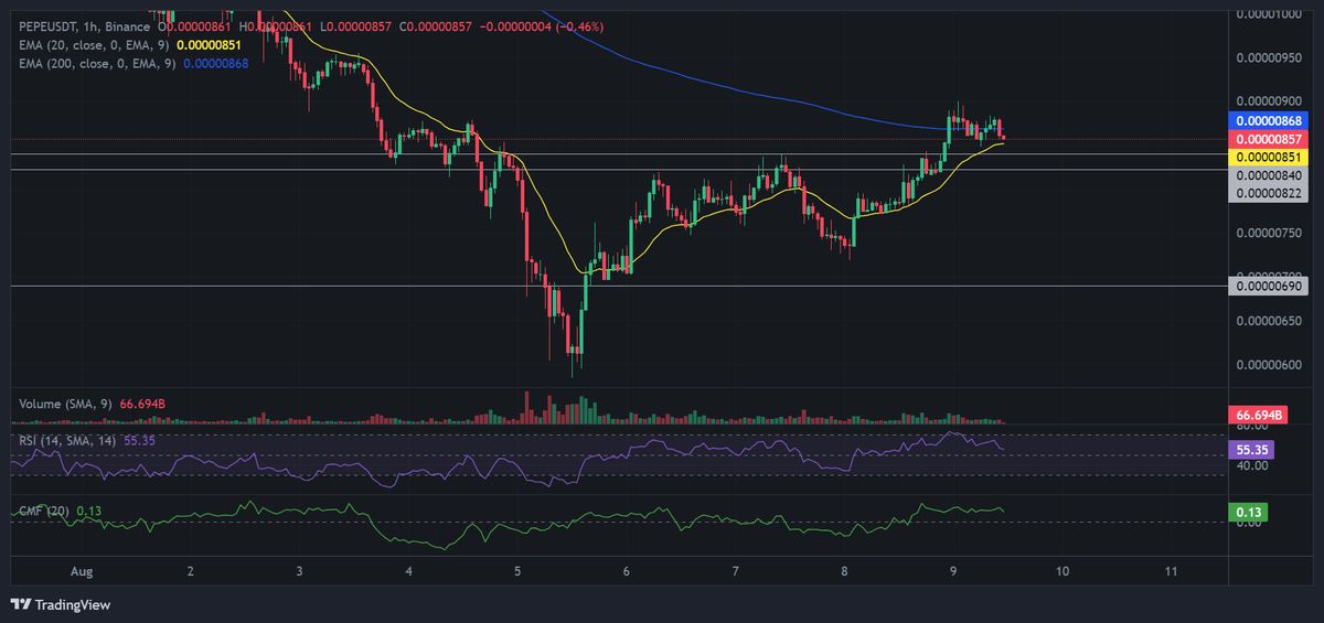 PEPE price chart on 1H time frame. Source: Binance.