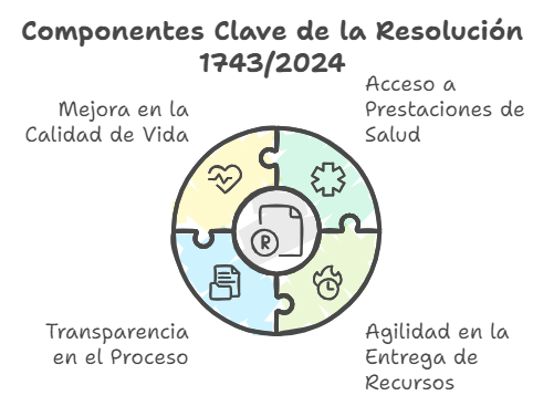 componentes claves de la resolución 1743/2024