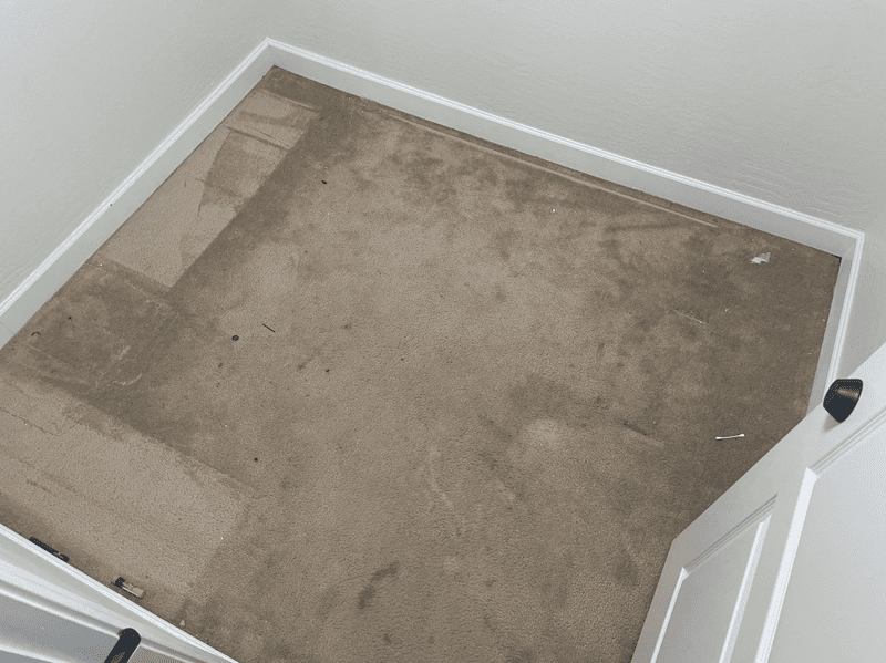 Organic Carpet Cleaning: A Safer Choice