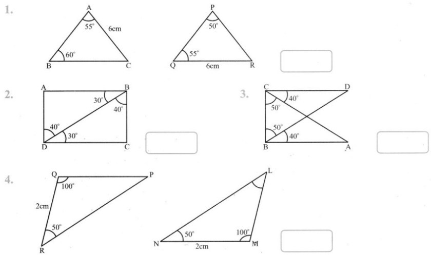 CBSE Class 7 Maths Congruence of Triangles Worksheets 1