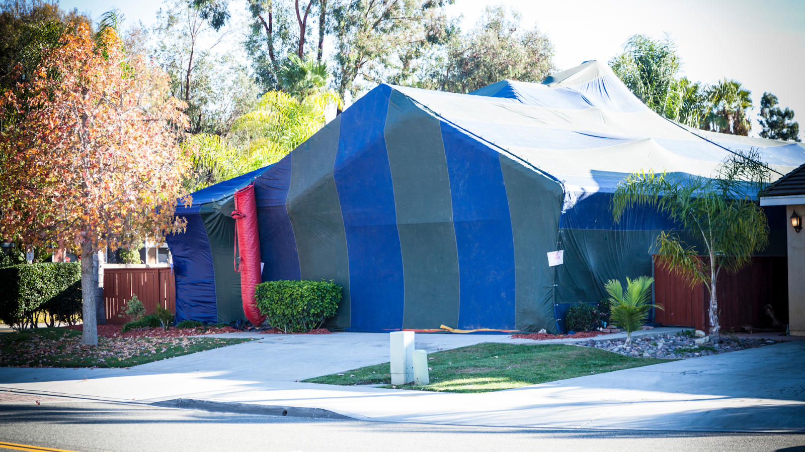 Tent Fumigation For Termite
