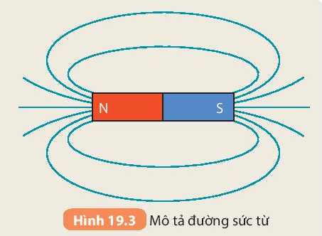 BÀI 19. TỪ TRƯỜNG MỞ ĐẦUCâu hỏi: Đặt kim nam châm tự do, xa nam châm hoặc vật liệu có tính chất từ khác, kim nam châm luôn nằm cân bằng theo hướng Bắc – Nam. Vì sao? Đặt kim nam châm tại các vị trí khác nhau xung quanh một nam châm thẳng như hình trên, kim nam châm nằm theo các hướng khác nhau. Vì sao?Đáp án chuẩn:Do Trái Đất là một nam châm khổng lồ nên kim nam châm vẫn luôn nằm cân bằng theo hướng của Trái Đất. Kim nam châm nằm theo hướng khác nhau, vì khi đặt nam châm và kim nam châm khác cực thì chúng có xu hướng hút nhau.I. TỪ TRƯỜNGCâu hỏi: Có thể phát hiện sự tồn tại của từ trường bằng cách nào?Đáp án chuẩn:Dùng nam châm thử.II. TỪ PHỔCâu 1: Các mạt sắt xung quanh nam châm (Hình 19.2) được sắp xếp thành những đường như thế nào?Đáp án chuẩn:Các mạt sắt được sắp xếp thành những đường cong nối từ cực này sang cực kia của nam châm.Câu 2: Ở vùng nào các đường mạt sắt sắp xếp dày, vùng nào sắp xếp thưa?Đáp án chuẩn:Càng gần nam châm, các đường mạt sắt sắp xếp dày. Càng ra xa nam châm, những đường này sắp xếp thưa.III. ĐƯỜNG SỨC TỪCâu 1: Dùng bút tô dọc theo các đường mạt sắt nối từ cực nọ sang cực kia của nam châm trên tấm nhựa, ta sẽ được các đường gọi là đường sức từ (Hình 19.3)Đáp án chuẩn:Câu 2: Đặt một kim nam châm nhỏ trên một đường sức và di chuyển kim nam châm theo đường sức từ.Có nhận xét gì về sự định hướng của kim nam  châm khi di chuyển trên đường sức từ?Đánh dấu mũi tên tại mỗi vị trí đặt kim nam châm trên dường sức từ theo chiều từ cực Nam đến cực Bắc của kim.Quy ước chiều đường sức từ là chiều từ cực Nam đến cực Bắc của kim nam châm đặt cân bằng trên đường sức từ đó.Vẽ một số đường sức từ của nam châm và đánh dấu chiều của đường sức từ.Đáp án chuẩn:Câu 1: Xác định chiều đường sức từ của một nam châm thẳng trong Hình 19.5Đáp án chuẩn:Chiều đường sức từ của một nam châm thẳng trong Hình 19.5Câu 2: Hình 19.6 cho biết từ phổ của nam châm hình chữ U. Dựa vào đó hãy vẽ đường sức từ của nó. Có nhận xét gì về các đường sức từ của nam châm này?Đáp án chuẩn:- Đường sức từ của nam châm hình chữ U:- Nhận xét: Càng gần đầu thanh nam châm, đường sức càng mau hơn. IV. TỪ TRƯỜNG TRÁI ĐẤT