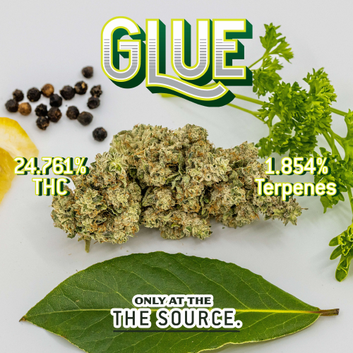 Glue is one of The Source’s newest strains from their in-house boutique flower brand, In The Flow. Glue is an indica-dominant cannabis strain with a THC range of 24-25% and 1.85% of terpenes, making it an awesome mood-enhancer and anti-anxiety.