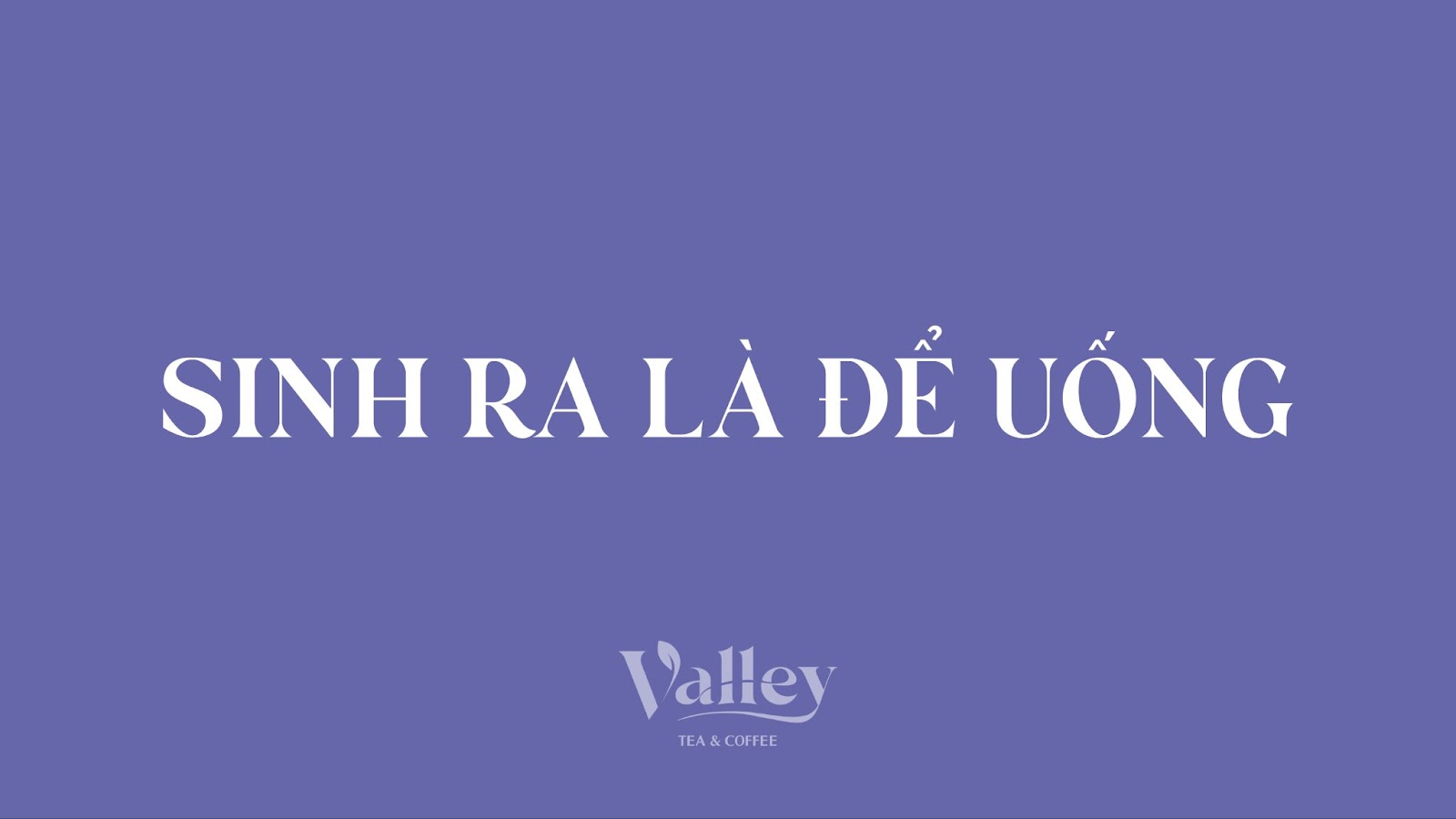bộ nhận diện thương hiệu valley do VSS Corp thực hiện