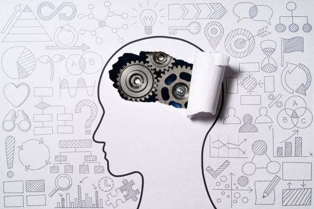 Left brain and logical thinking
