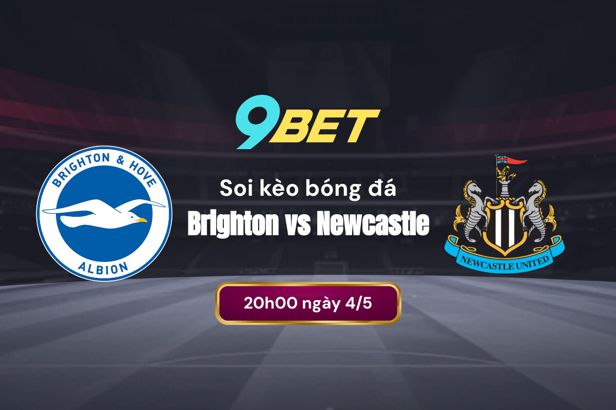 Phân tích phong độ gần đây Brighton vs Newcastle