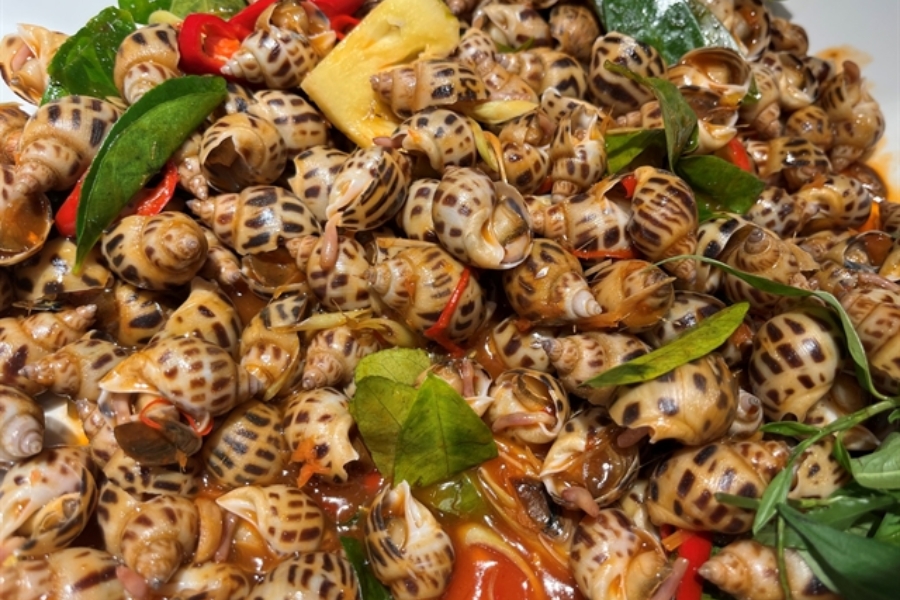 Diverse dishes with snails in Hai Phong